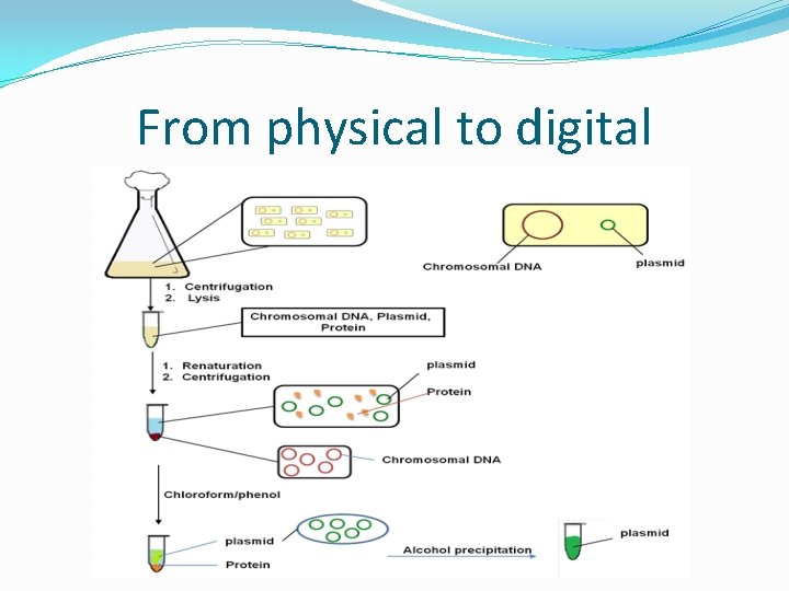 From physical to digital 