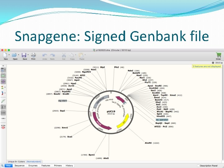 Snapgene: Signed Genbank file 