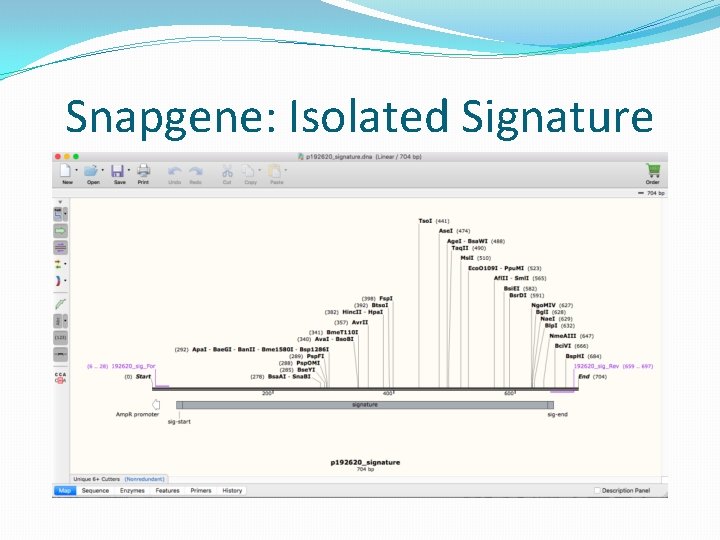 Snapgene: Isolated Signature 