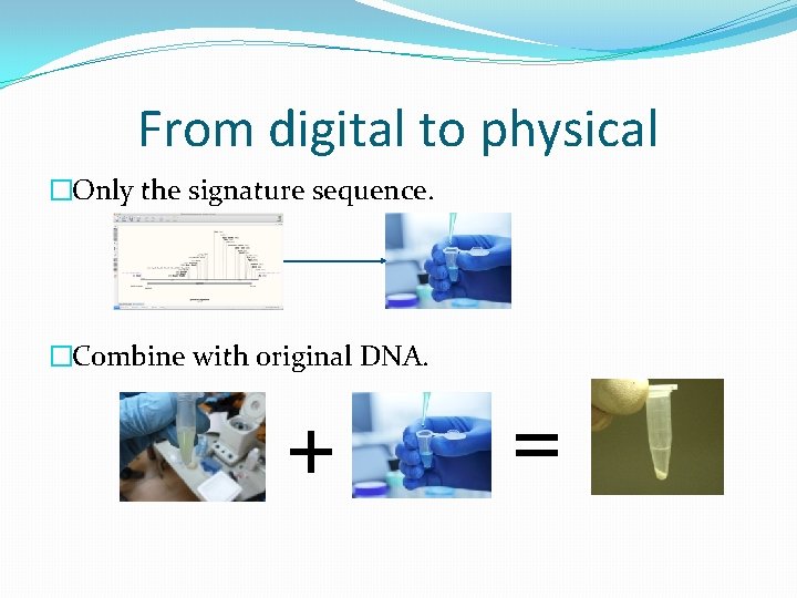 From digital to physical �Only the signature sequence. �Combine with original DNA. + =