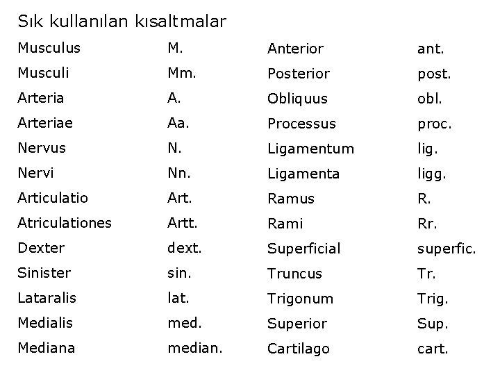 Sık kullanılan kısaltmalar Musculus M. Anterior ant. Musculi Mm. Posterior post. Arteria A. Obliquus