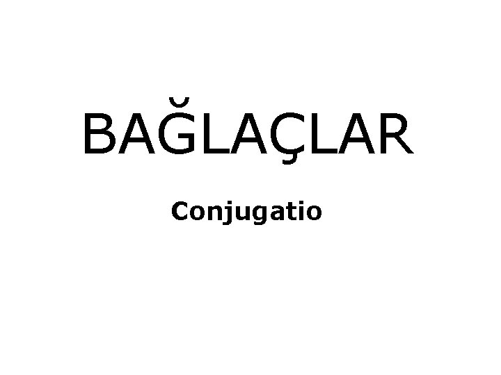 BAĞLAÇLAR Conjugatio 