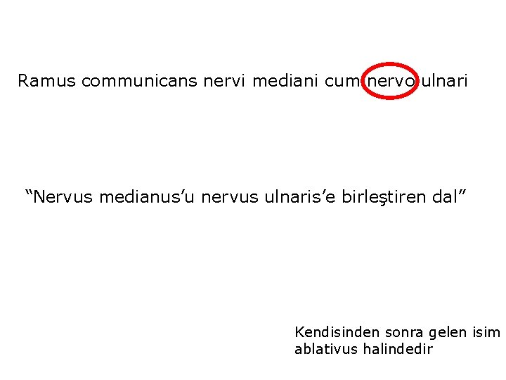 Ramus communicans nervi mediani cum nervo ulnari “Nervus medianus’u nervus ulnaris’e birleştiren dal” Kendisinden