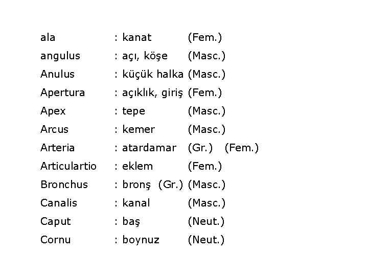 ala : kanat (Fem. ) angulus : açı, köşe (Masc. ) Anulus : küçük