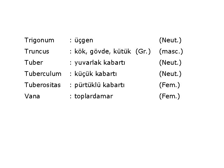 Trigonum : üçgen (Neut. ) Truncus : kök, gövde, kütük (Gr. ) (masc. )