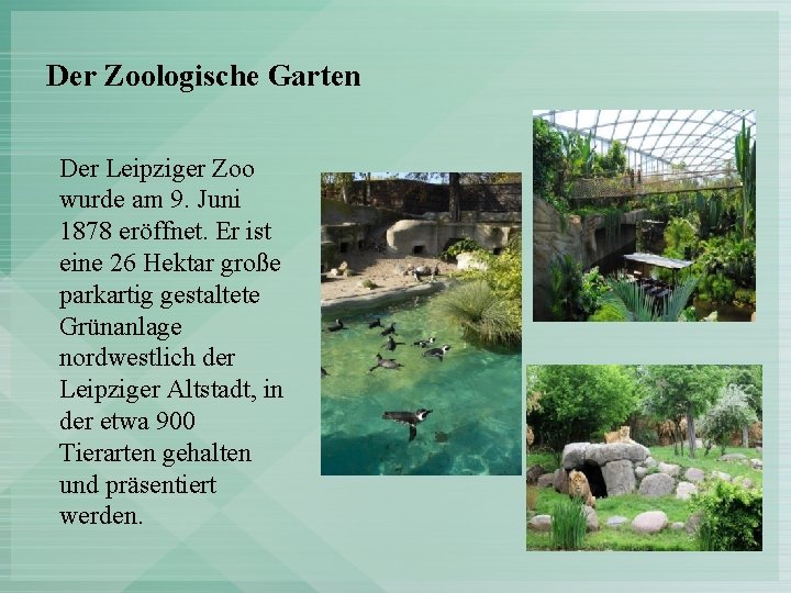 Der Zoologische Garten Der Leipziger Zoo wurde am 9. Juni 1878 eröffnet. Er ist