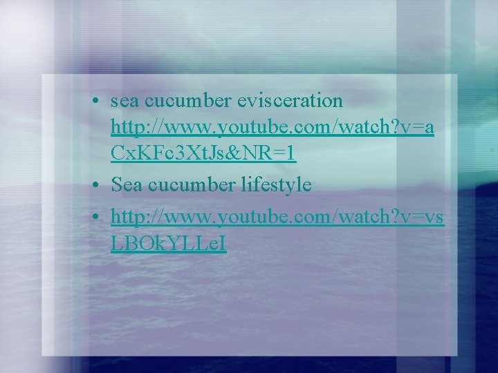  • sea cucumber evisceration http: //www. youtube. com/watch? v=a Cx. KFc 3 Xt.