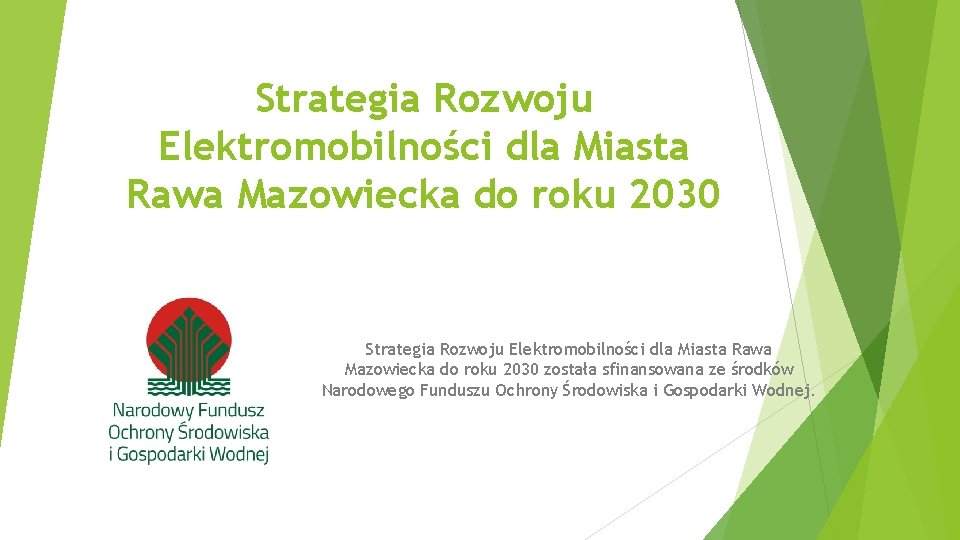 Strategia Rozwoju Elektromobilności dla Miasta Rawa Mazowiecka do roku 2030 została sfinansowana ze środków