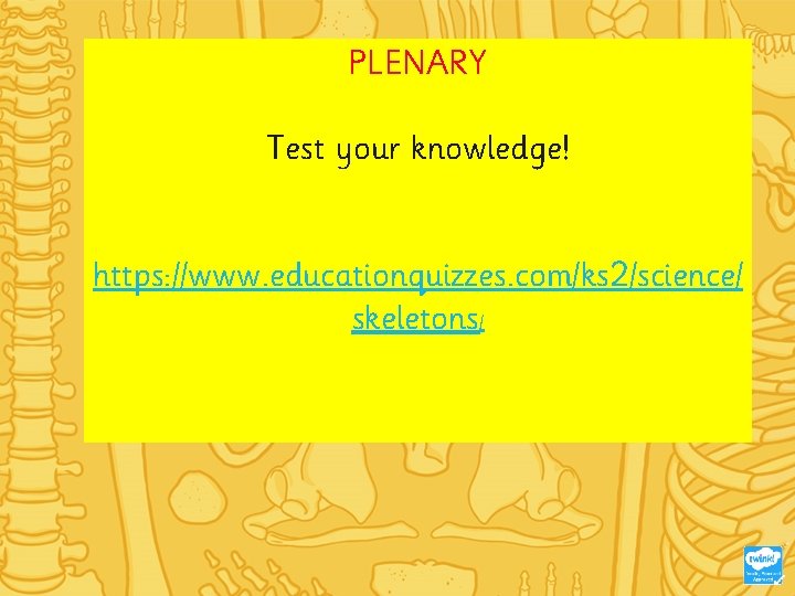 PLENARY Test your knowledge! https: //www. educationquizzes. com/ks 2/science/ skeletons/ 