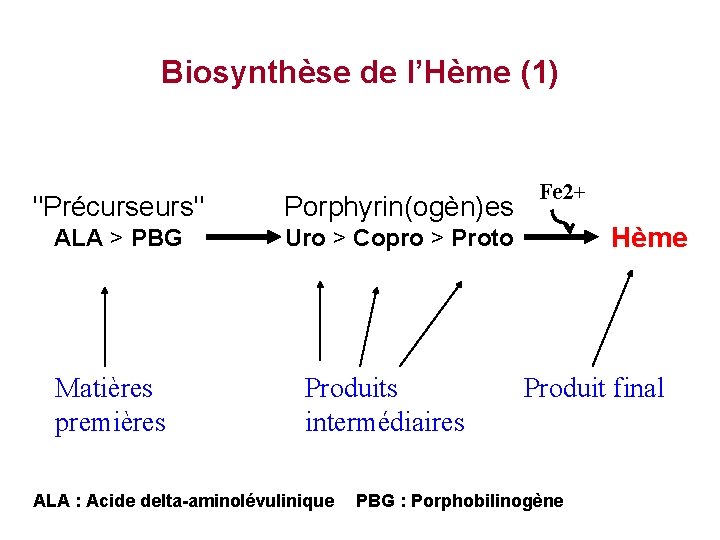 Biosynthèse de l’Hème (1) "Précurseurs" Porphyrin(ogèn)es ALA > PBG Uro > Copro > Proto