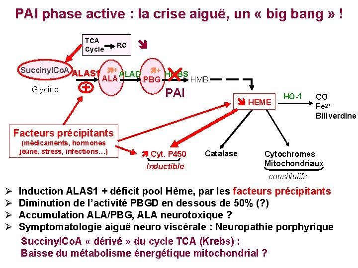 PAI phase active : la crise aiguë, un « big bang » ! TCA
