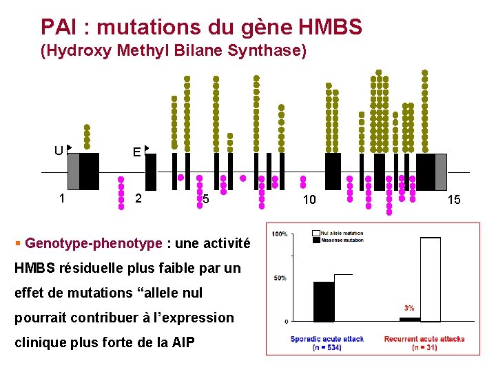 PAI : mutations du gène HMBS (Hydroxy Methyl Bilane Synthase) U E 1 2