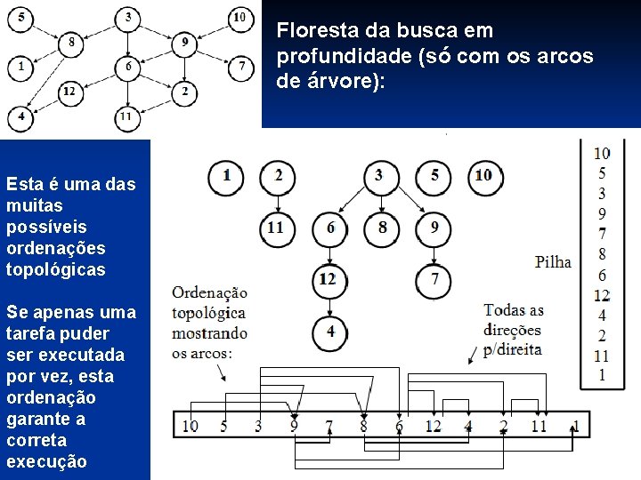 Floresta da busca em profundidade (só com os arcos de árvore): Esta é uma