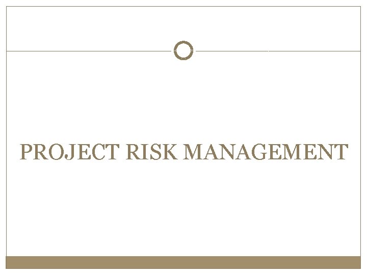 PROJECT RISK MANAGEMENT 