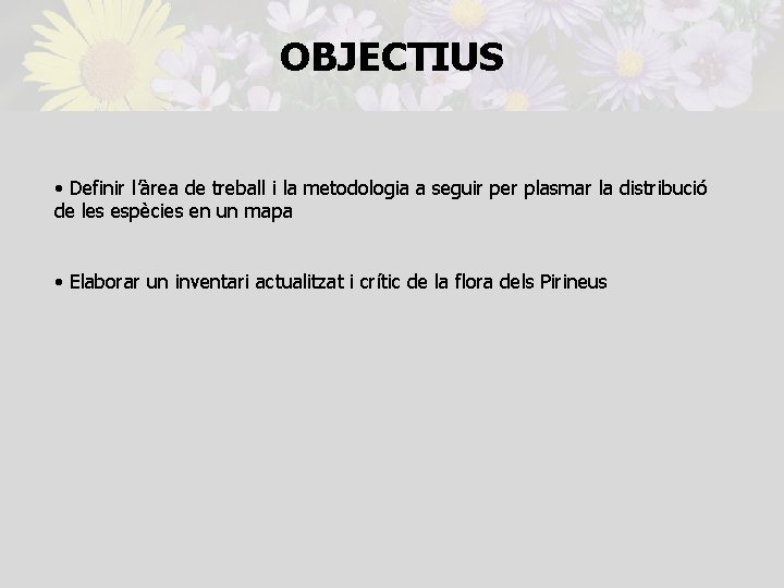 OBJECTIUS • Definir l’àrea de treball i la metodologia a seguir per plasmar la