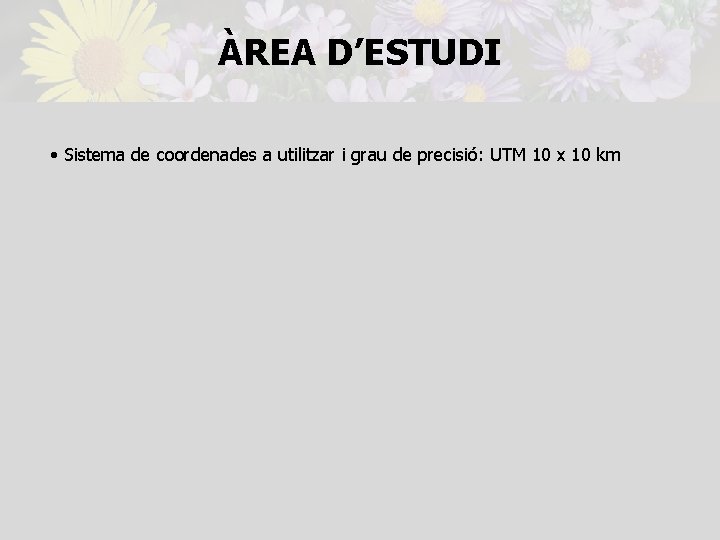 ÀREA D’ESTUDI • Sistema de coordenades a utilitzar i grau de precisió: UTM 10