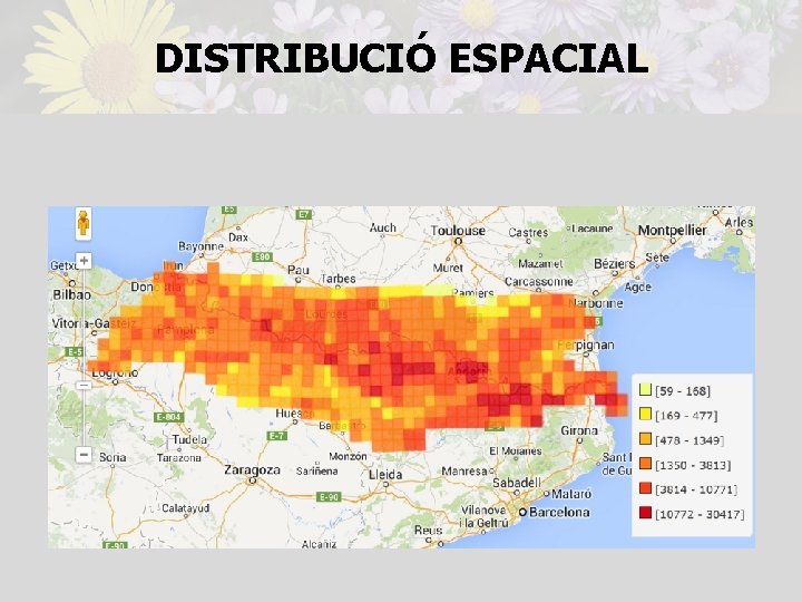 DISTRIBUCIÓ ESPACIAL 