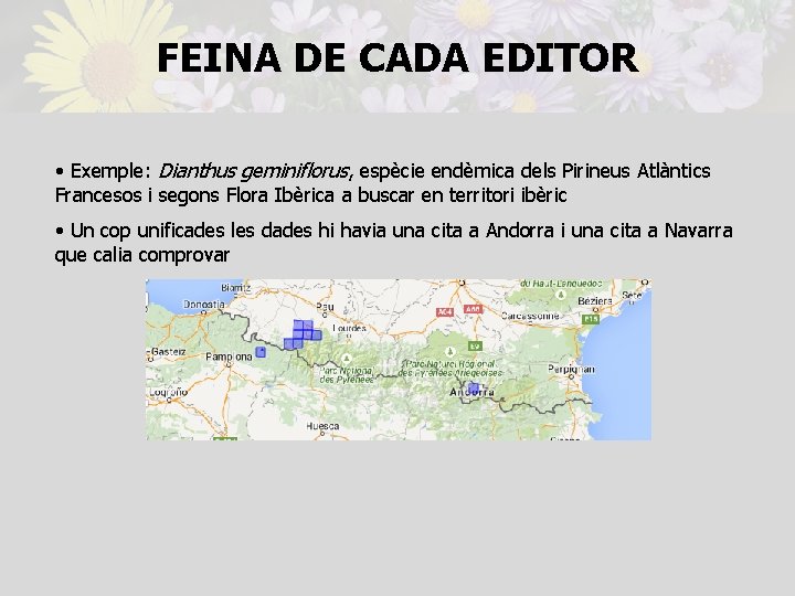 FEINA DE CADA EDITOR • Exemple: Dianthus geminiflorus, espècie endèmica dels Pirineus Atlàntics Francesos