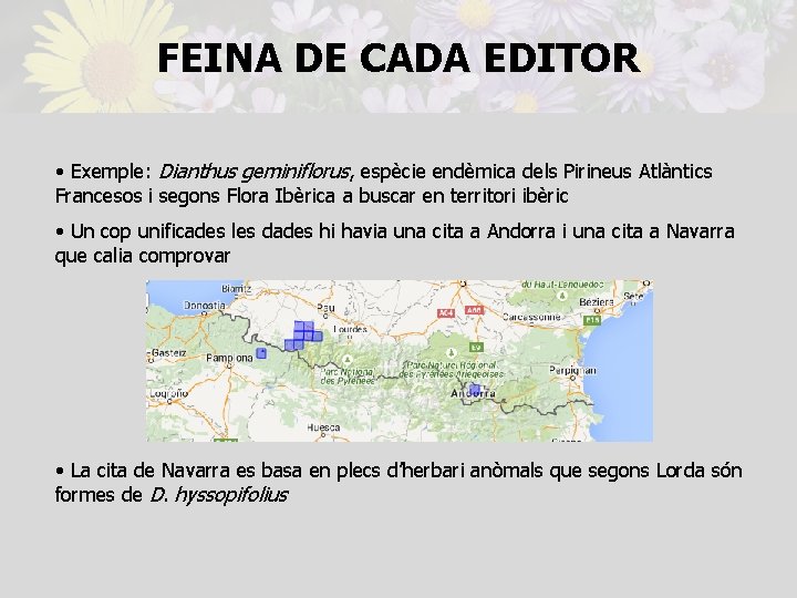 FEINA DE CADA EDITOR • Exemple: Dianthus geminiflorus, espècie endèmica dels Pirineus Atlàntics Francesos