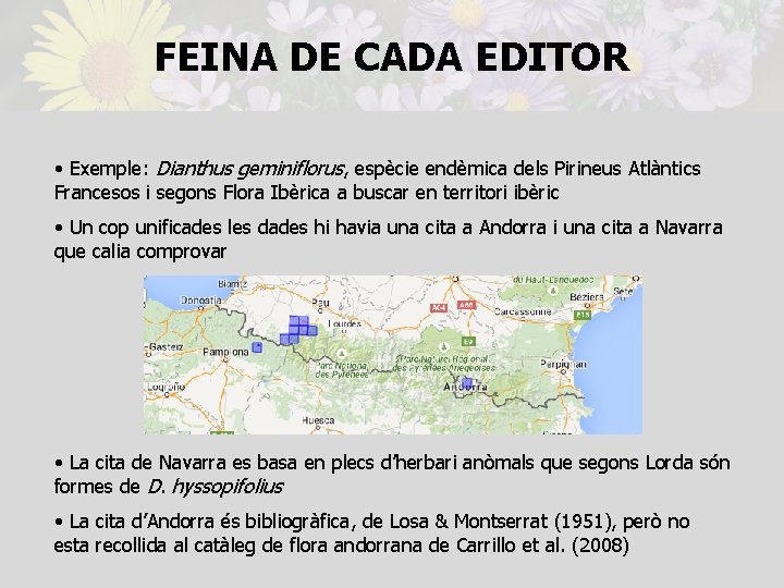 FEINA DE CADA EDITOR • Exemple: Dianthus geminiflorus, espècie endèmica dels Pirineus Atlàntics Francesos