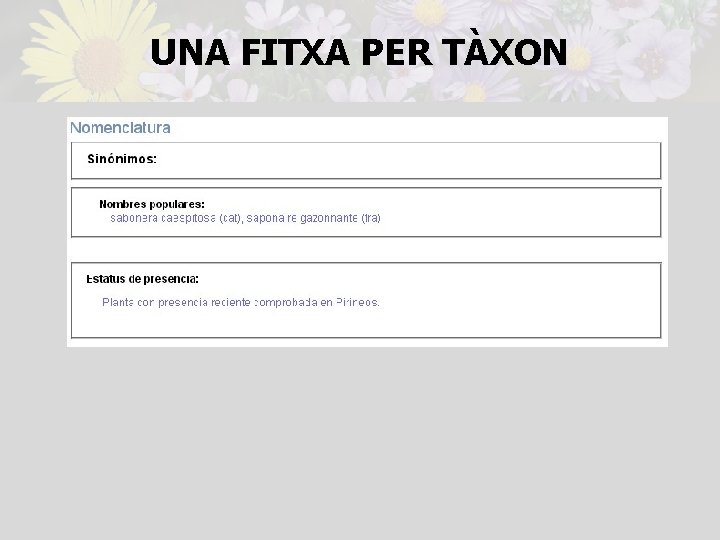 UNA FITXA PER TÀXON 