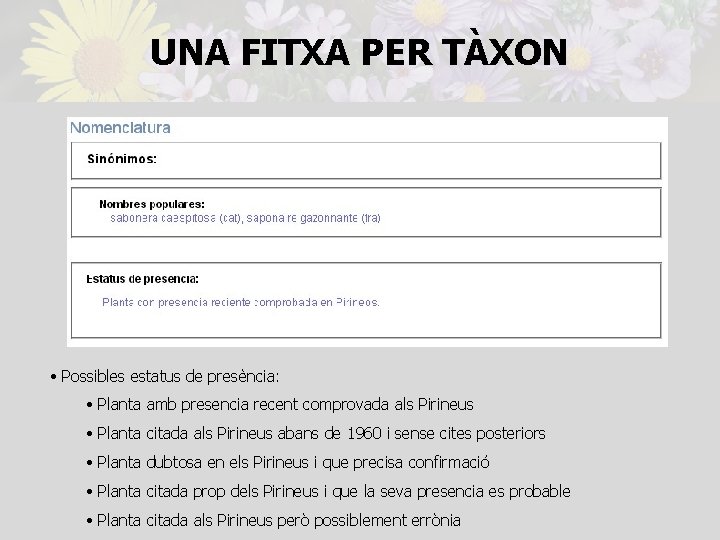 UNA FITXA PER TÀXON • Possibles estatus de presència: • Planta amb presencia recent