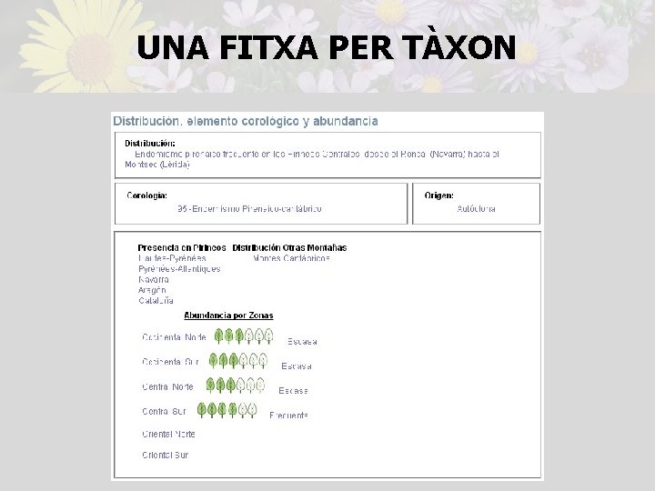 UNA FITXA PER TÀXON 