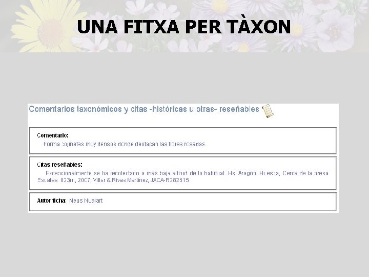 UNA FITXA PER TÀXON 