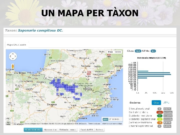 UN MAPA PER TÀXON 