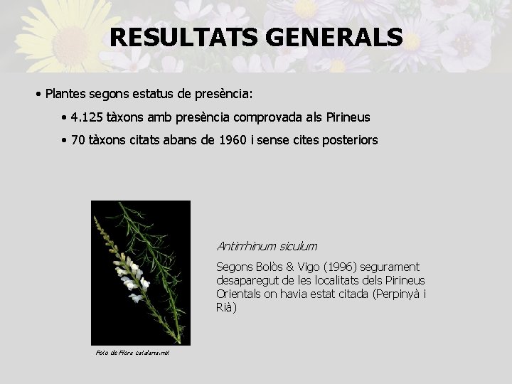 RESULTATS GENERALS • Plantes segons estatus de presència: • 4. 125 tàxons amb presència