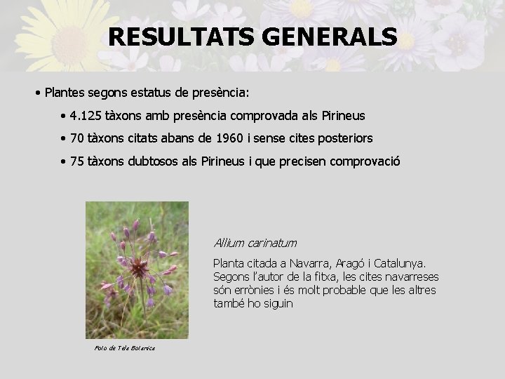 RESULTATS GENERALS • Plantes segons estatus de presència: • 4. 125 tàxons amb presència