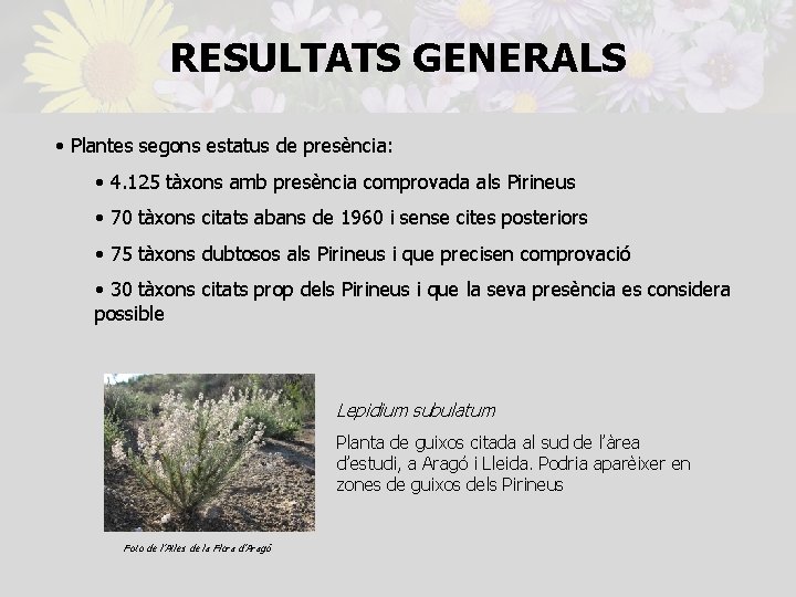 RESULTATS GENERALS • Plantes segons estatus de presència: • 4. 125 tàxons amb presència