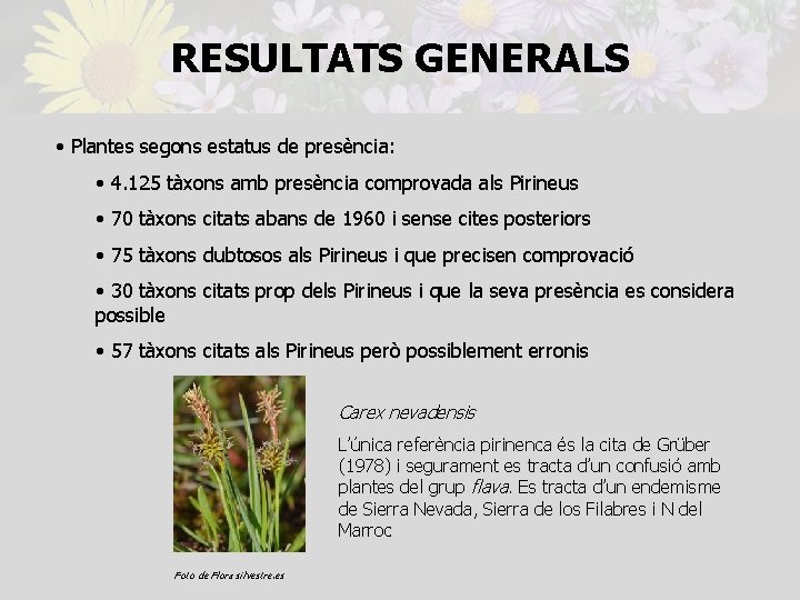 RESULTATS GENERALS • Plantes segons estatus de presència: • 4. 125 tàxons amb presència