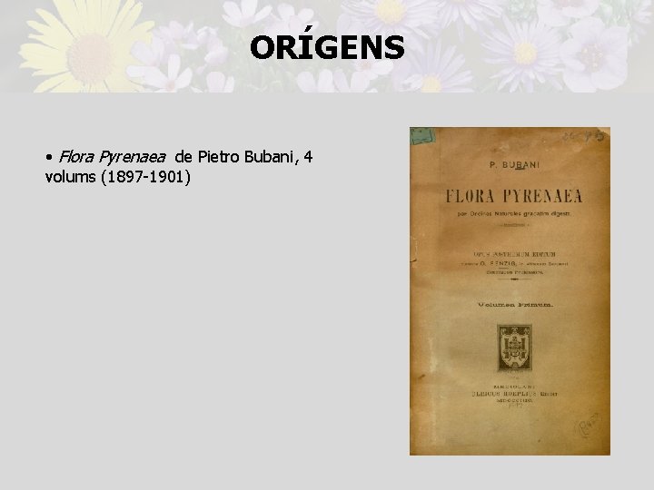 ORÍGENS • Flora Pyrenaea de Pietro Bubani, 4 volums (1897 -1901) 