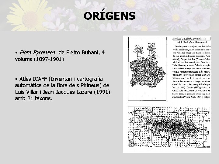 ORÍGENS • Flora Pyrenaea de Pietro Bubani, 4 volums (1897 -1901) • Atles ICAFF