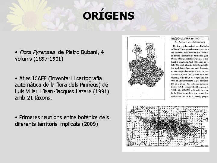 ORÍGENS • Flora Pyrenaea de Pietro Bubani, 4 volums (1897 -1901) • Atles ICAFF