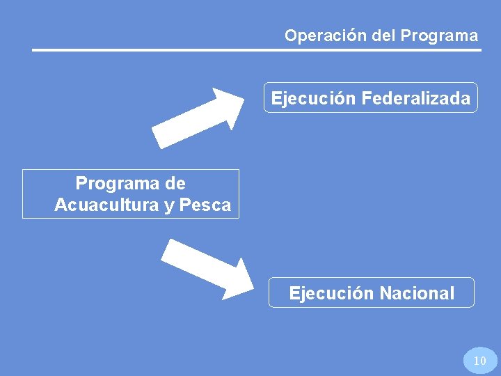 Operación del Programa Ejecución Federalizada Programa de Acuacultura y Pesca Ejecución Nacional 10 