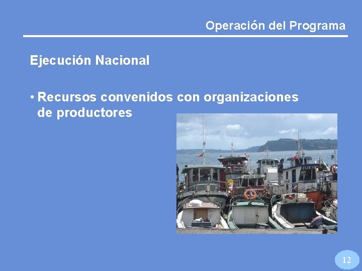 Operación del Programa Ejecución Nacional • Recursos convenidos con organizaciones de productores 12 
