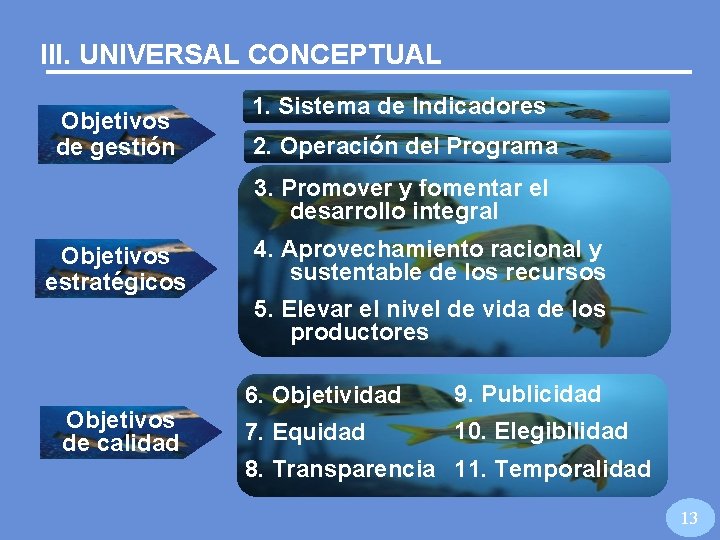 III. UNIVERSAL CONCEPTUAL Objetivos de gestión 1. Sistema de Indicadores 2. Operación del Programa