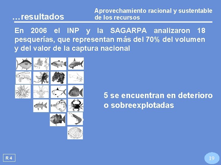 Aprovechamiento racional y sustentable de los recursos …resultados En 2006 el INP y la