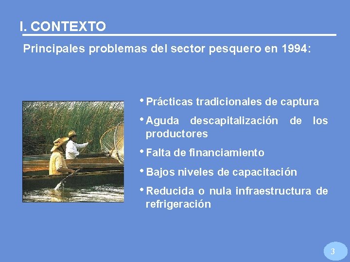 I. CONTEXTO Principales problemas del sector pesquero en 1994: • Prácticas tradicionales de captura