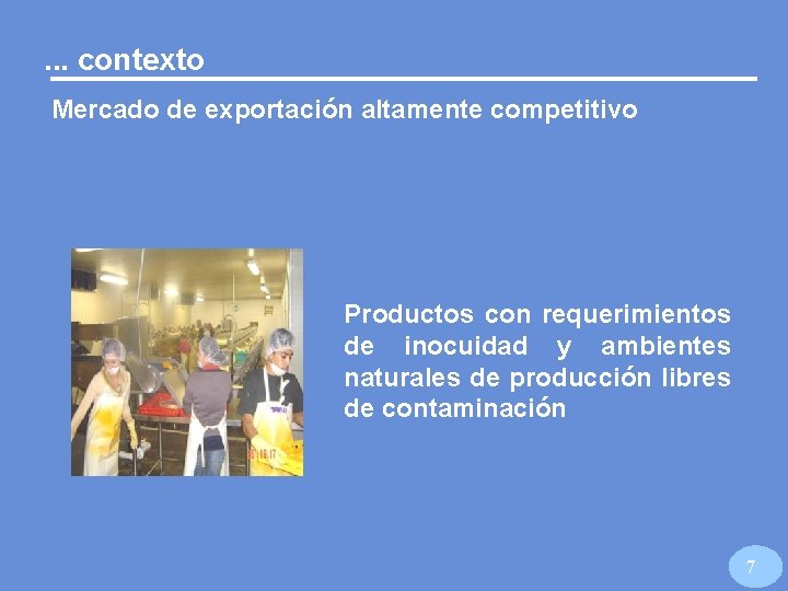 . . . contexto Mercado de exportación altamente competitivo Productos con requerimientos de inocuidad