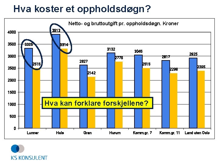 Hva koster et oppholdsdøgn? Netto- og bruttoutgift pr. oppholdsdøgn. Kroner 3913 4000 3500 3325