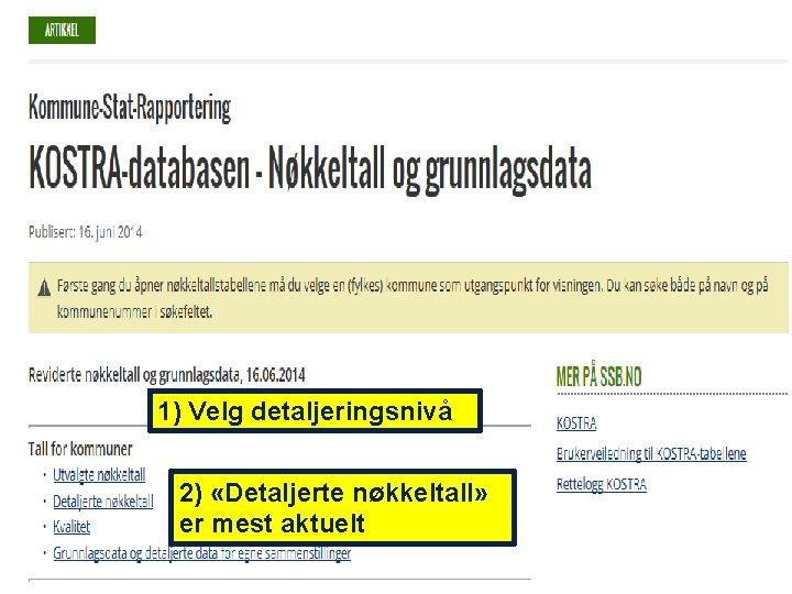 1) Velg detaljeringsnivå 2) «Detaljerte nøkkeltall» er mest aktuelt 