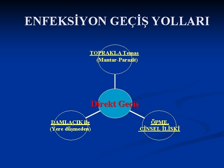 ENFEKSİYON GEÇİŞ YOLLARI TOPRAKLA Temas (Mantar-Parazit) Direkt Geçiş DAMLACIK ile (Yere düşmeden) ÖPME, CİNSEL