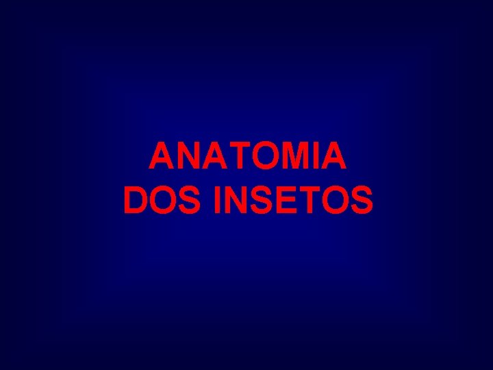 ANATOMIA DOS INSETOS 