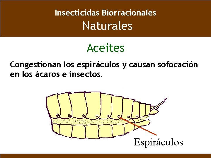 Insecticidas Biorracionales Naturales Aceites Congestionan los espiráculos y causan sofocación en los ácaros e