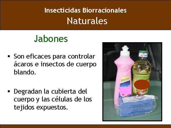 Insecticidas Biorracionales Naturales Jabones § Son eficaces para controlar ácaros e insectos de cuerpo