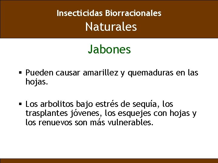 Insecticidas Biorracionales Naturales Jabones § Pueden causar amarillez y quemaduras en las hojas. §