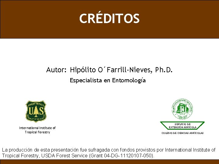 CRÉDITOS Autor: Hipólito O´Farrill-Nieves, Ph. D. Especialista en Entomología International Institute of Tropical Forestry